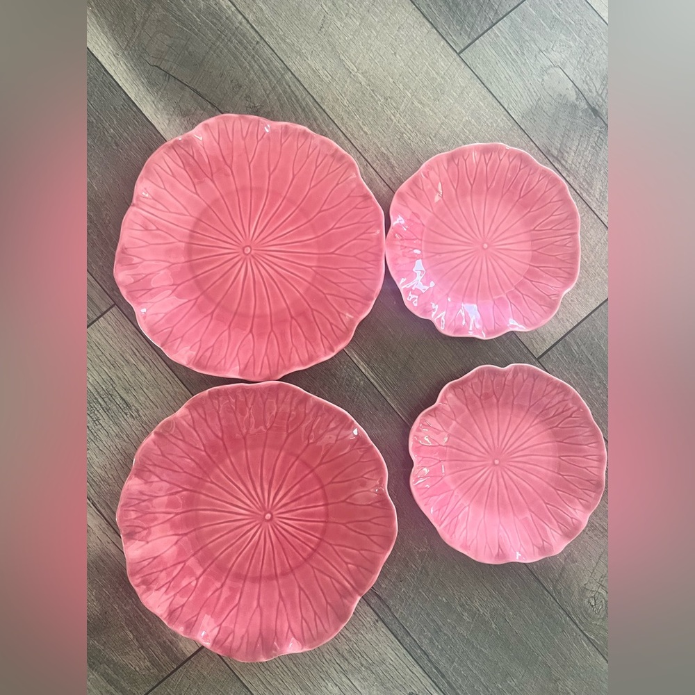 Cabbage plates pink set of 2 salad 2 dinner